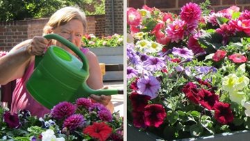 A blooming success for Oakhill House care home in HC-One gardening competition